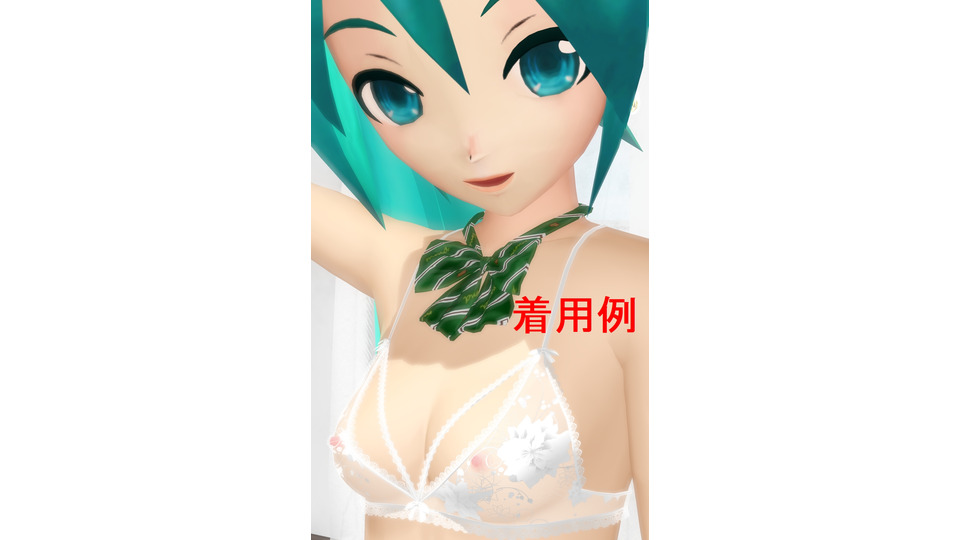 ブラジャー　その５