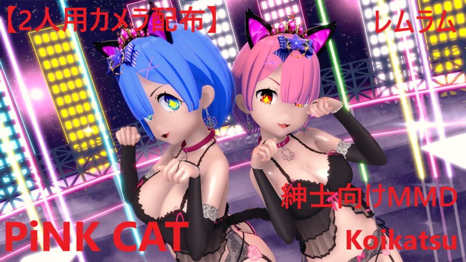PiNK CAT Camera